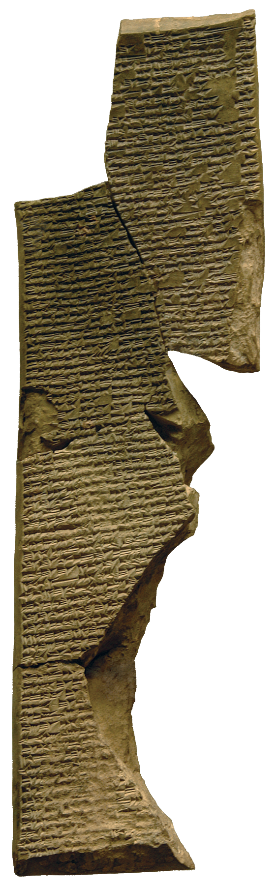 fig0009