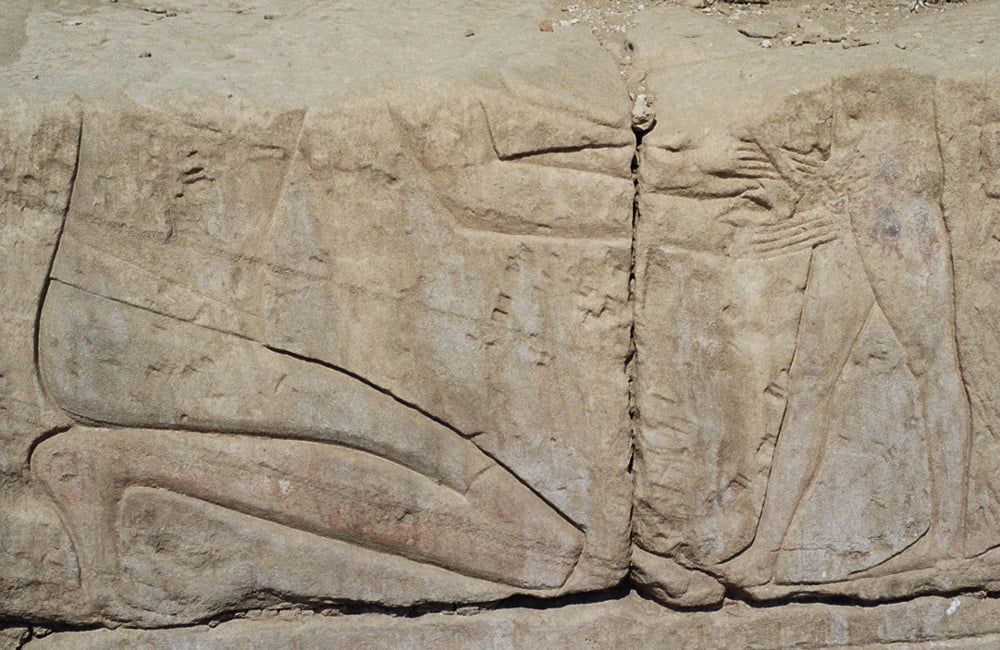 fig0027