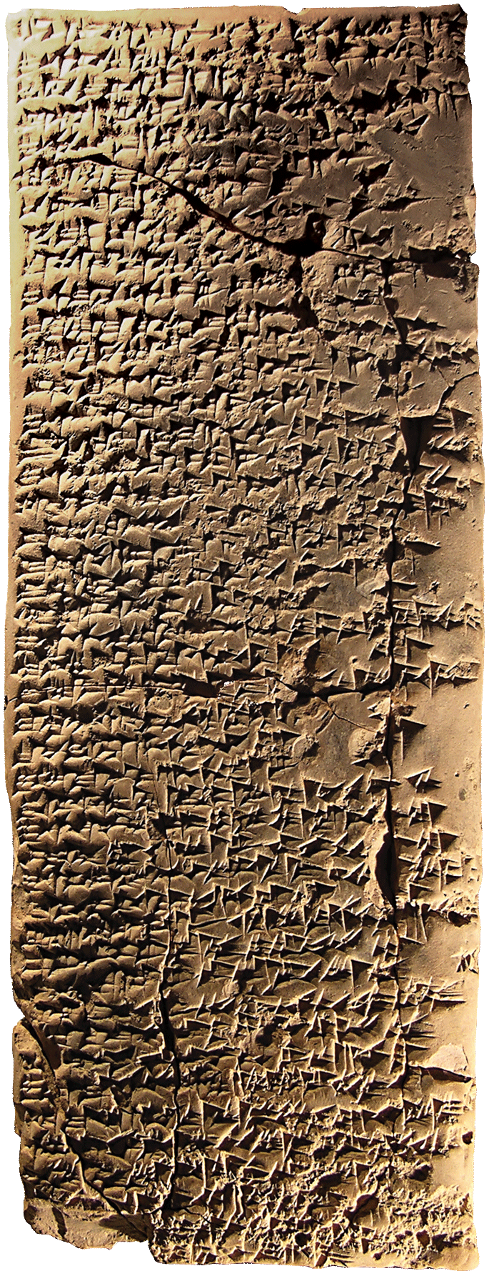 fig0043