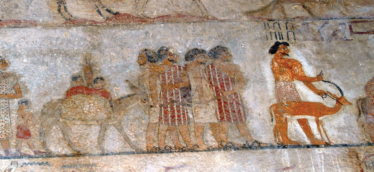 fig0048