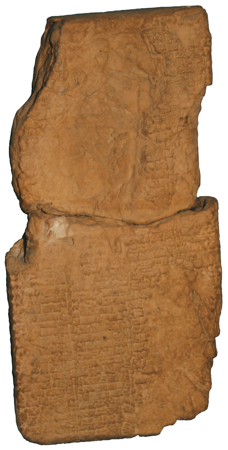 fig0071