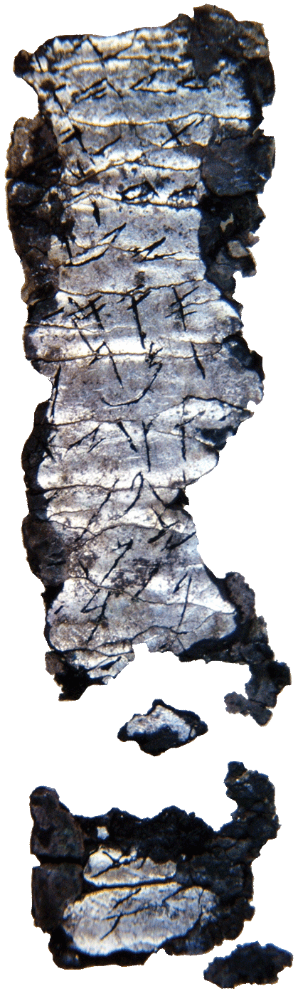 fig0117