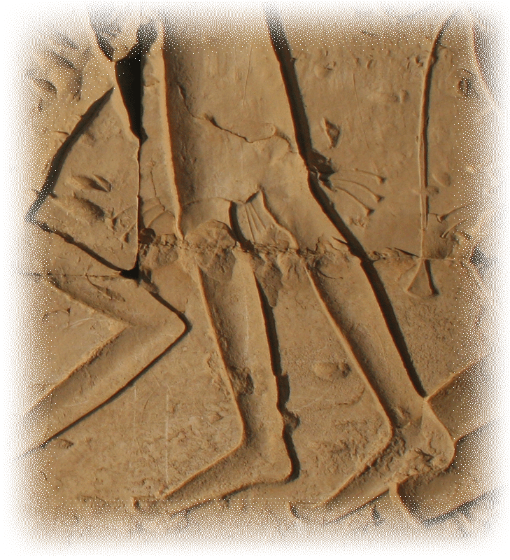 fig0132