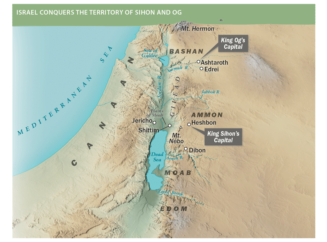fig0149-map