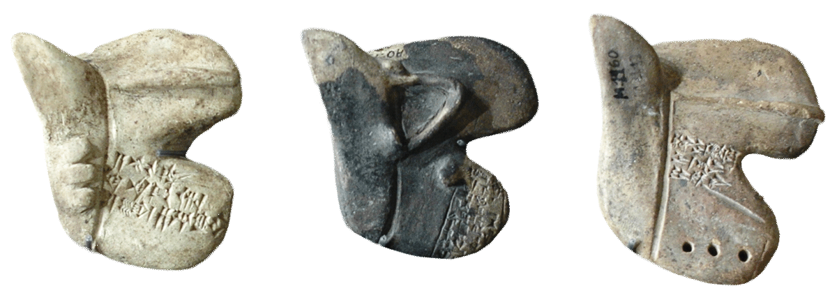 fig0164