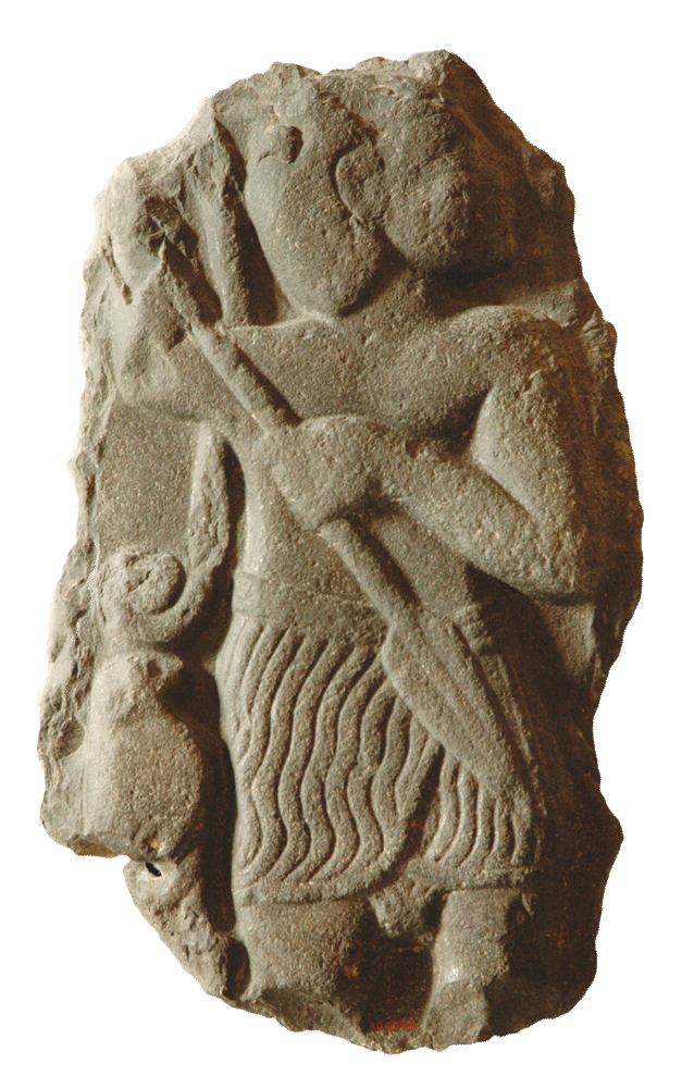 fig0246
