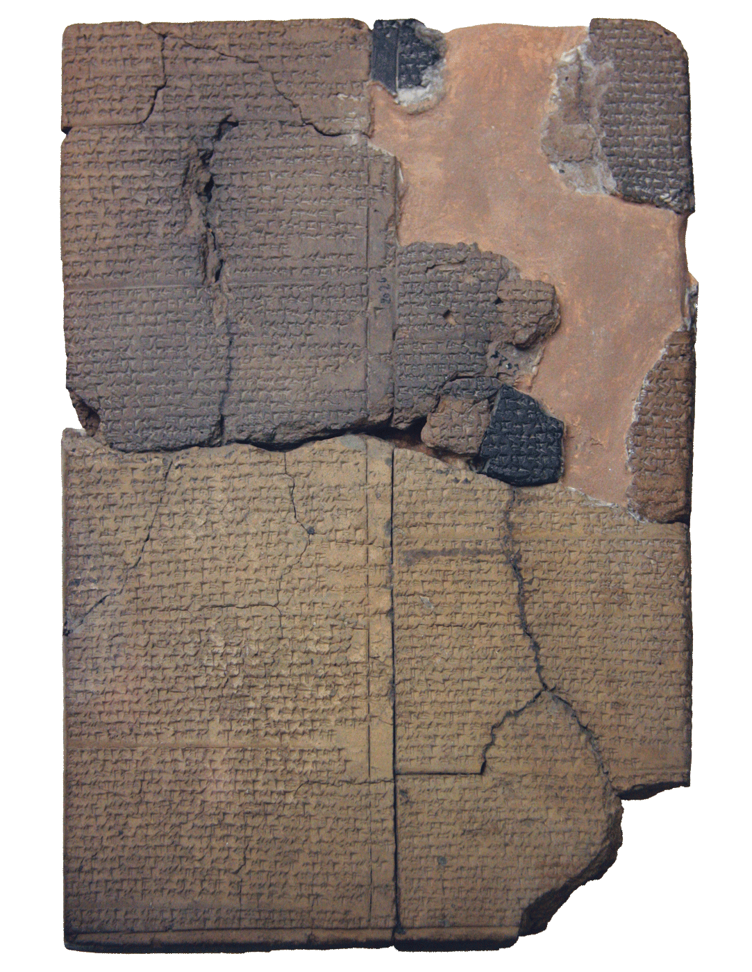 fig0258