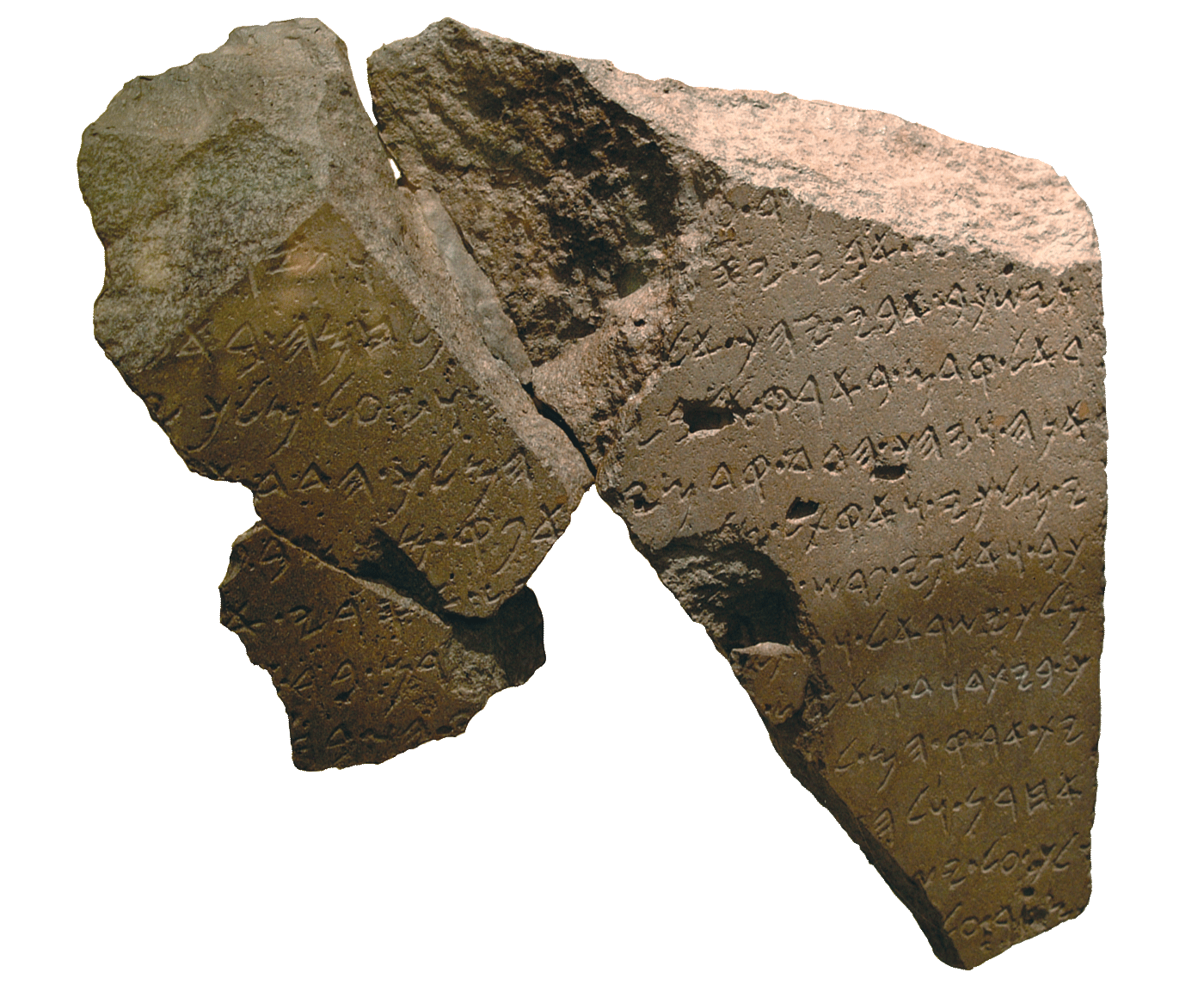 fig0259