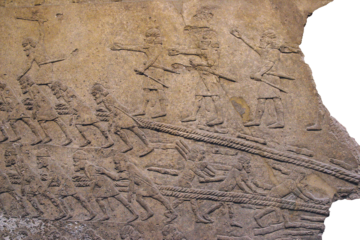 fig0300