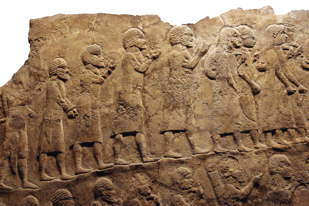 fig0398