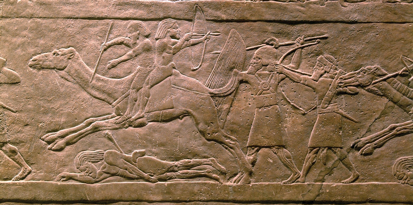 fig0457