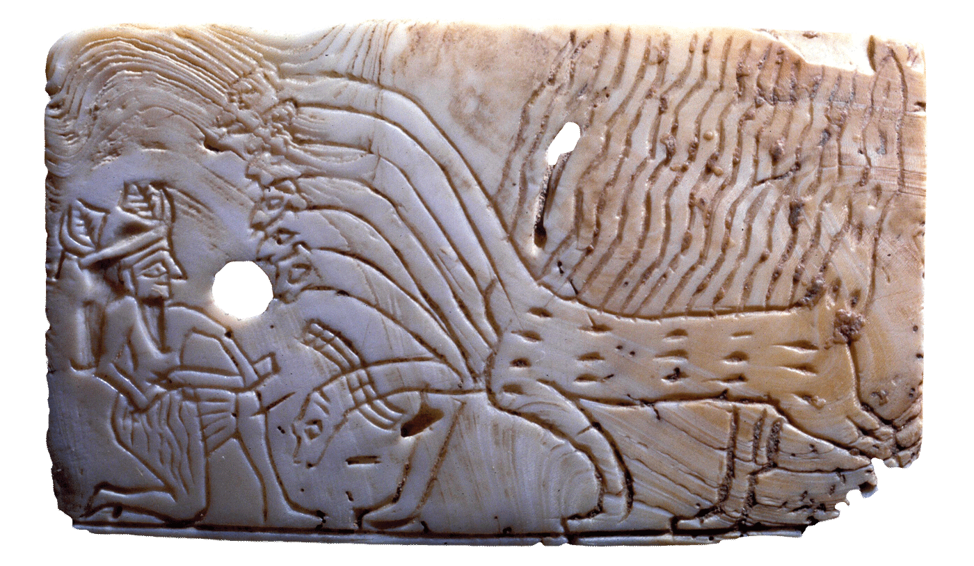 fig0483