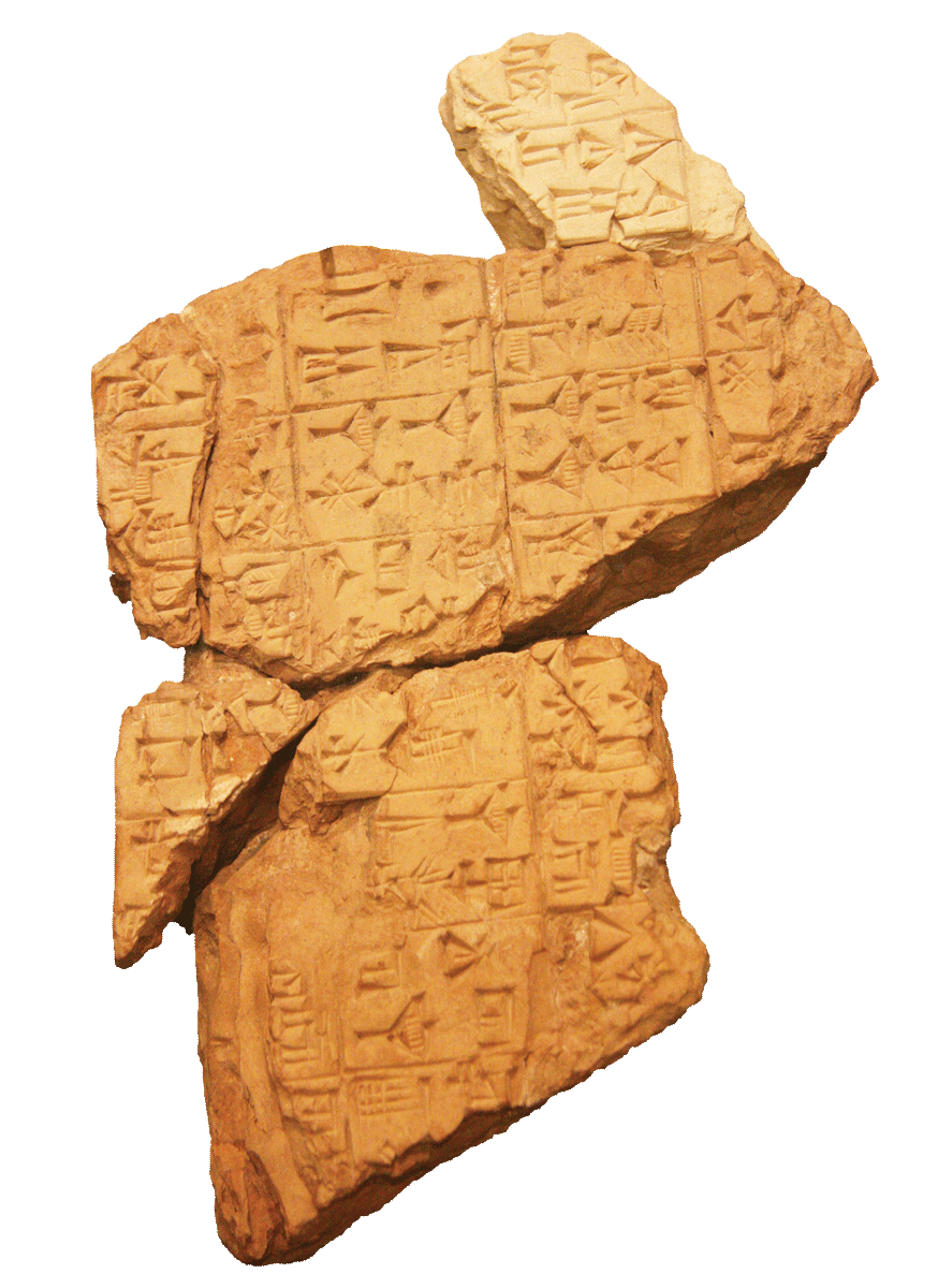 fig0542