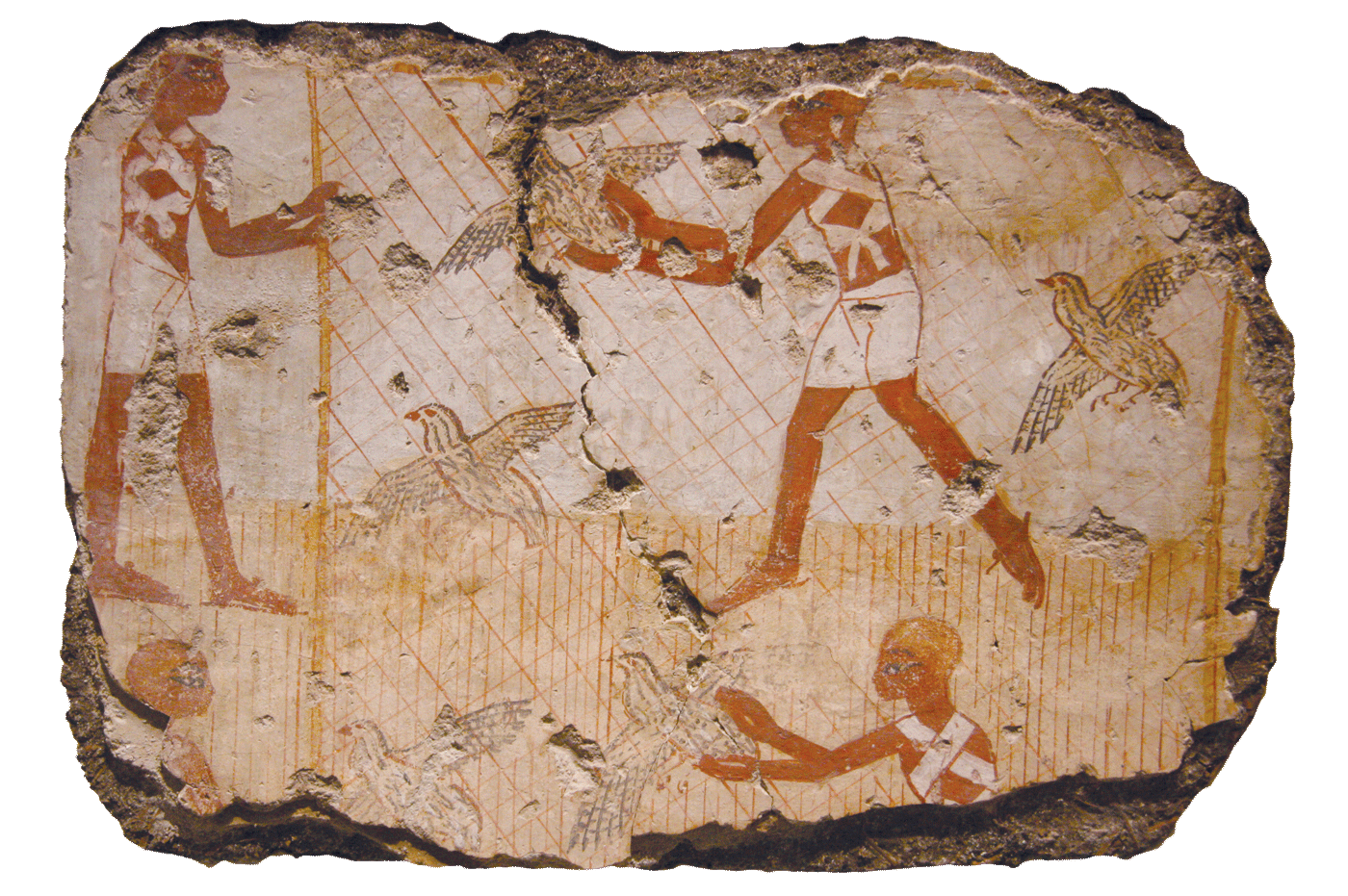 fig0551
