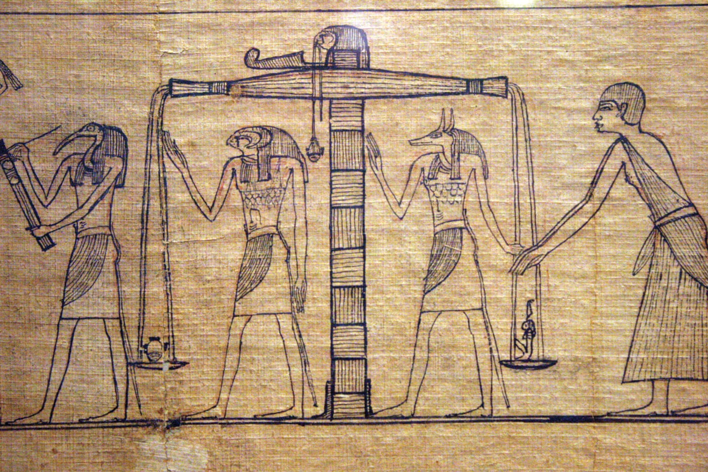 fig0566