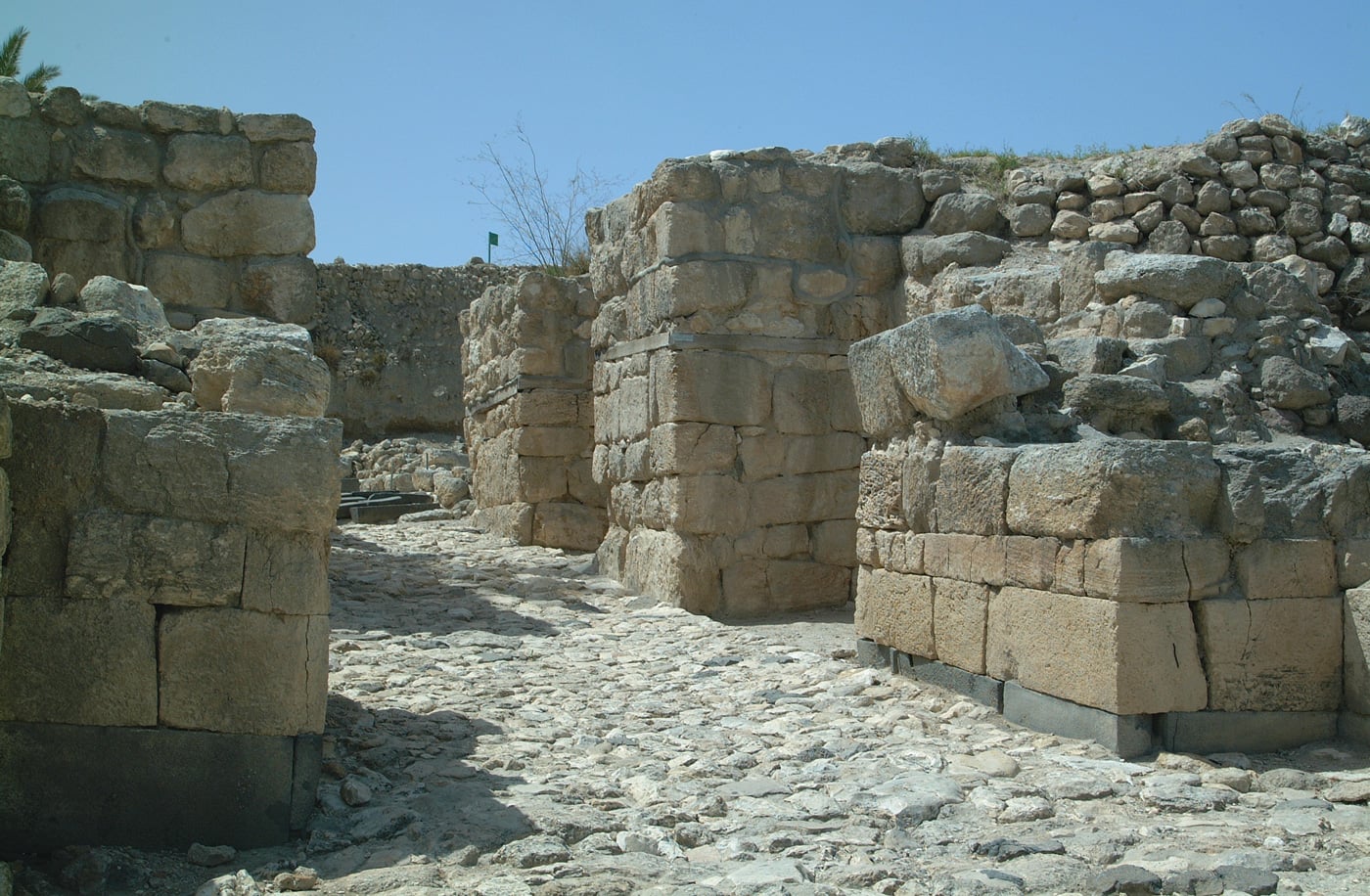 fig0579