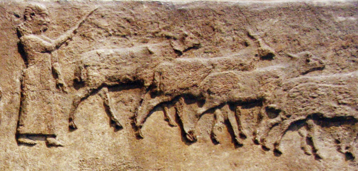fig0644