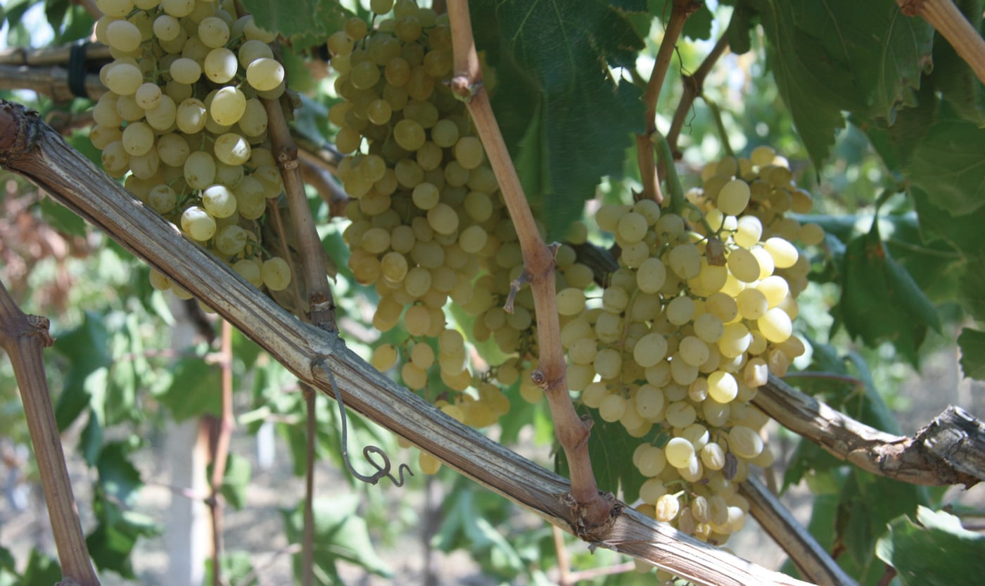 fig0743