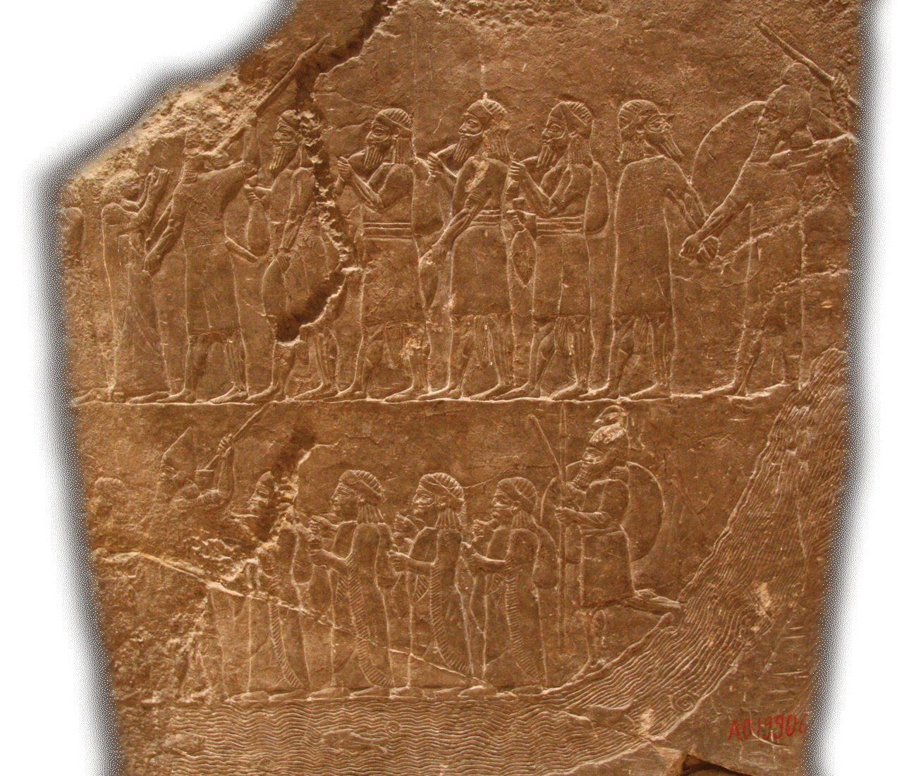 fig0784