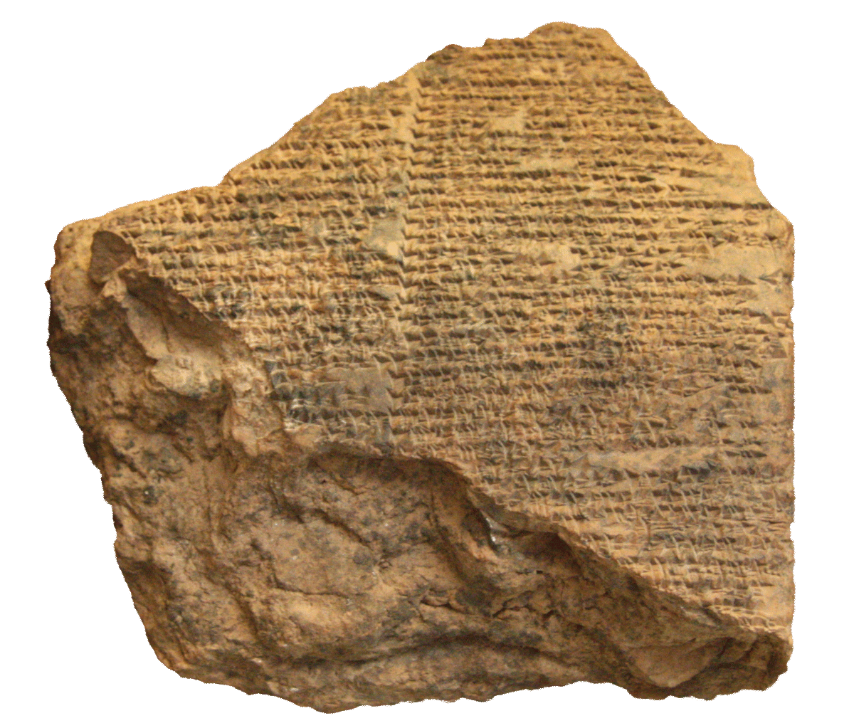 fig0786