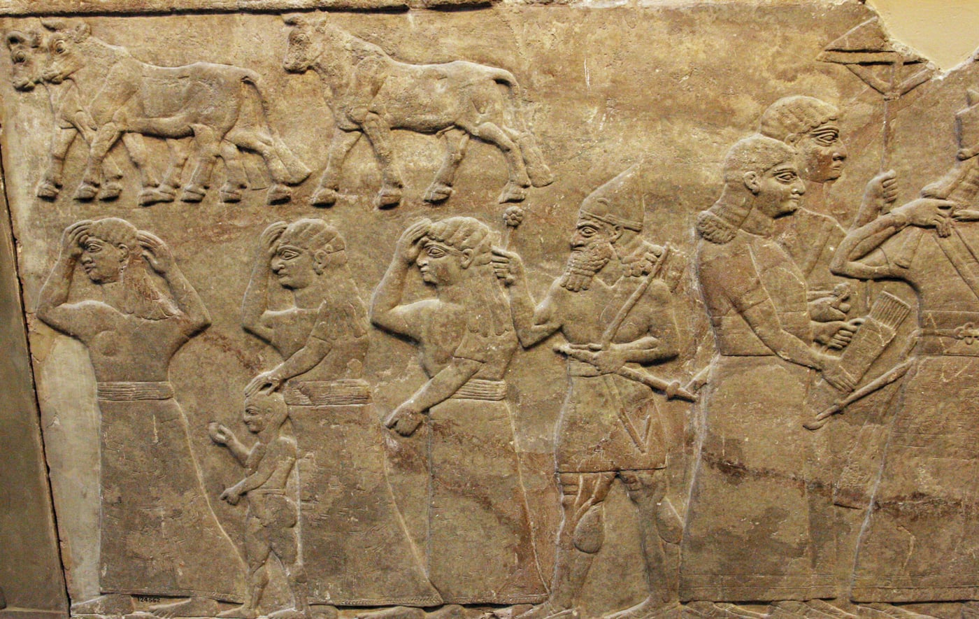 fig0864