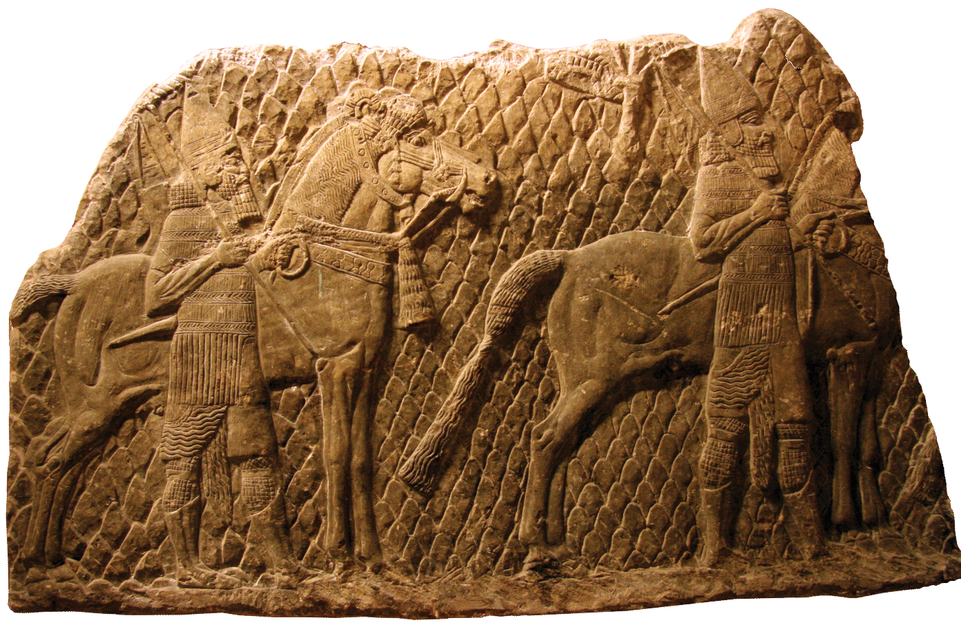 fig0884
