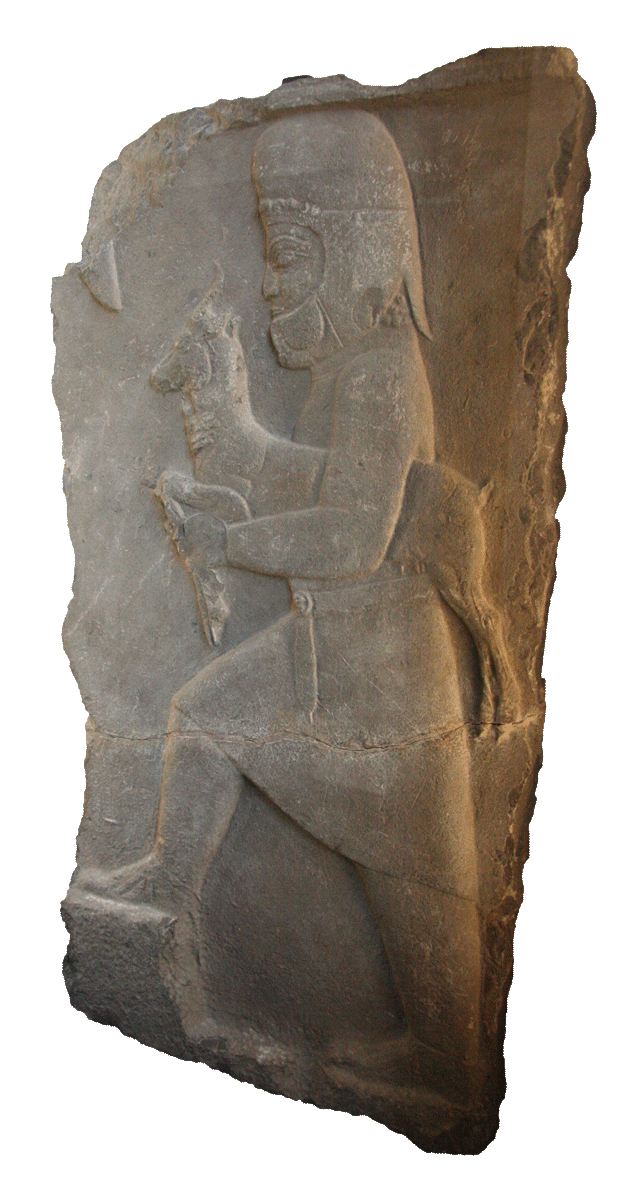 fig0934