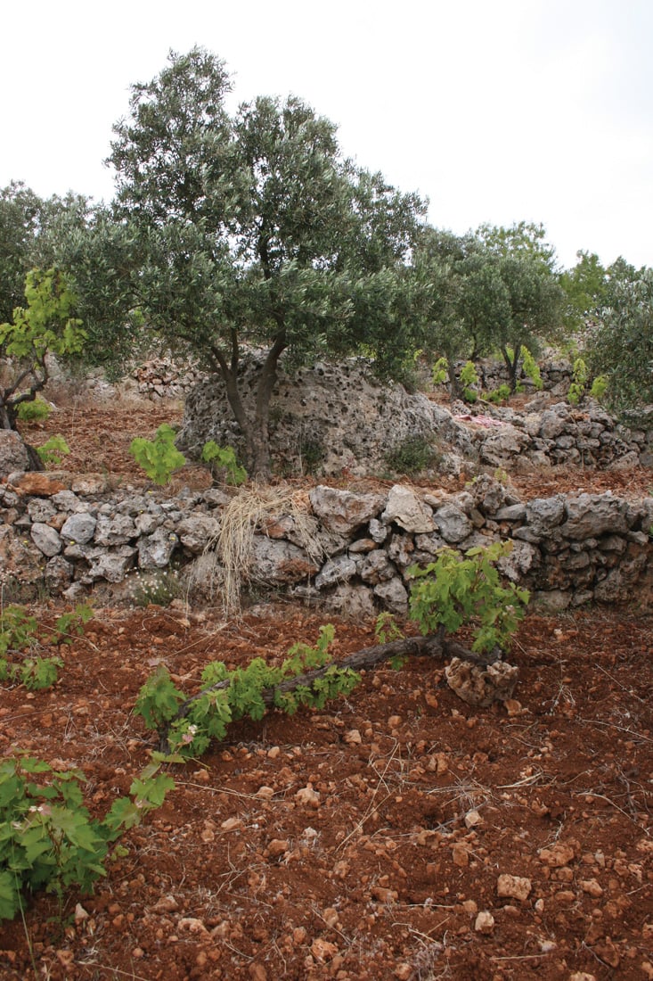 fig1040