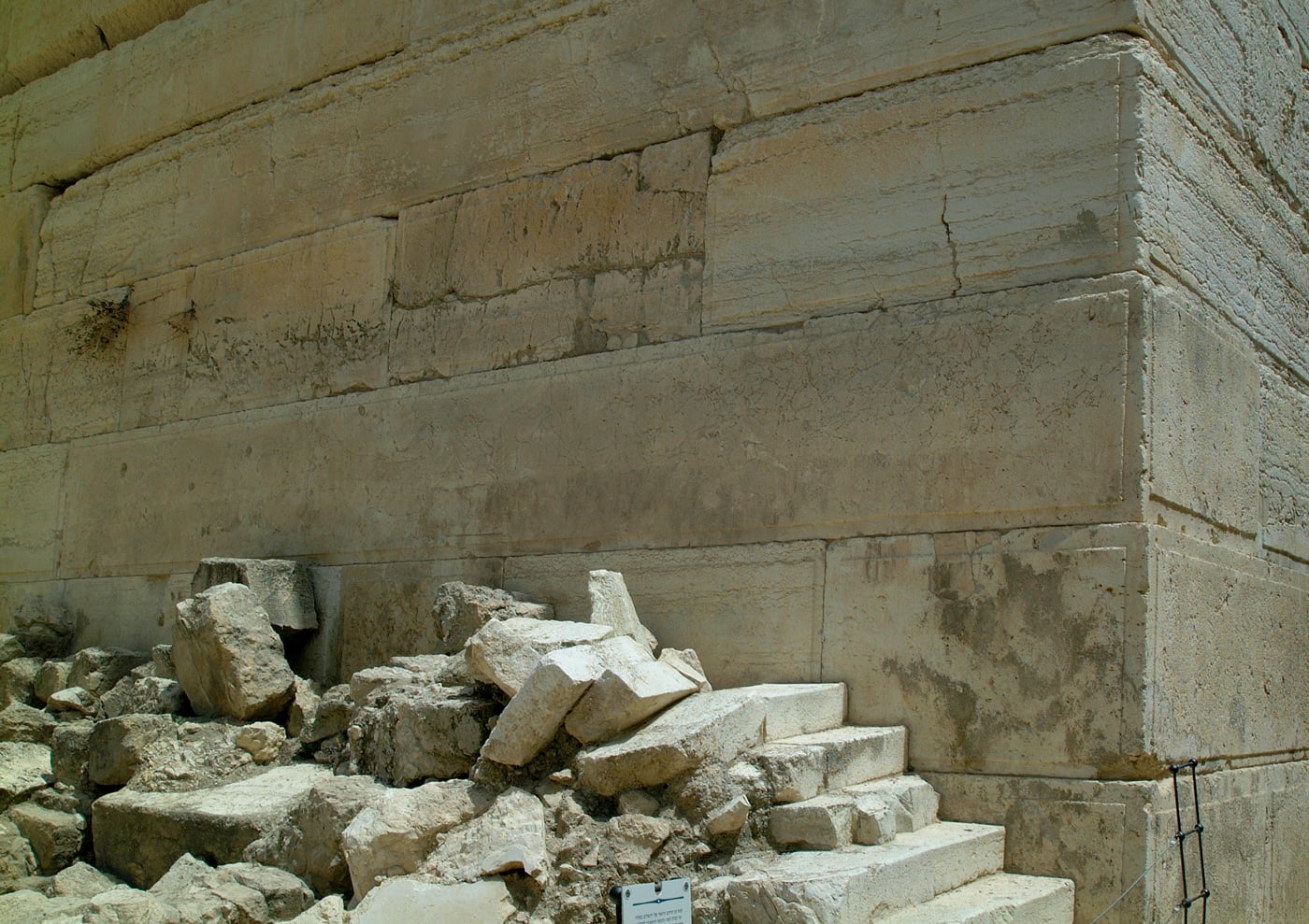 fig1100