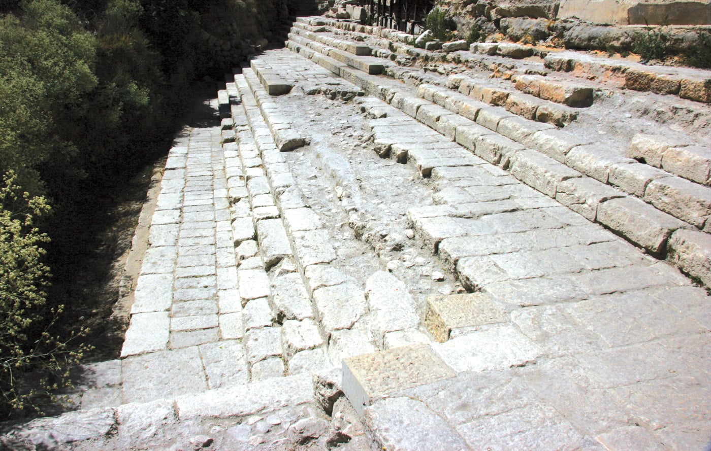 fig1134