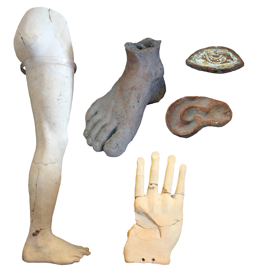 fig1299