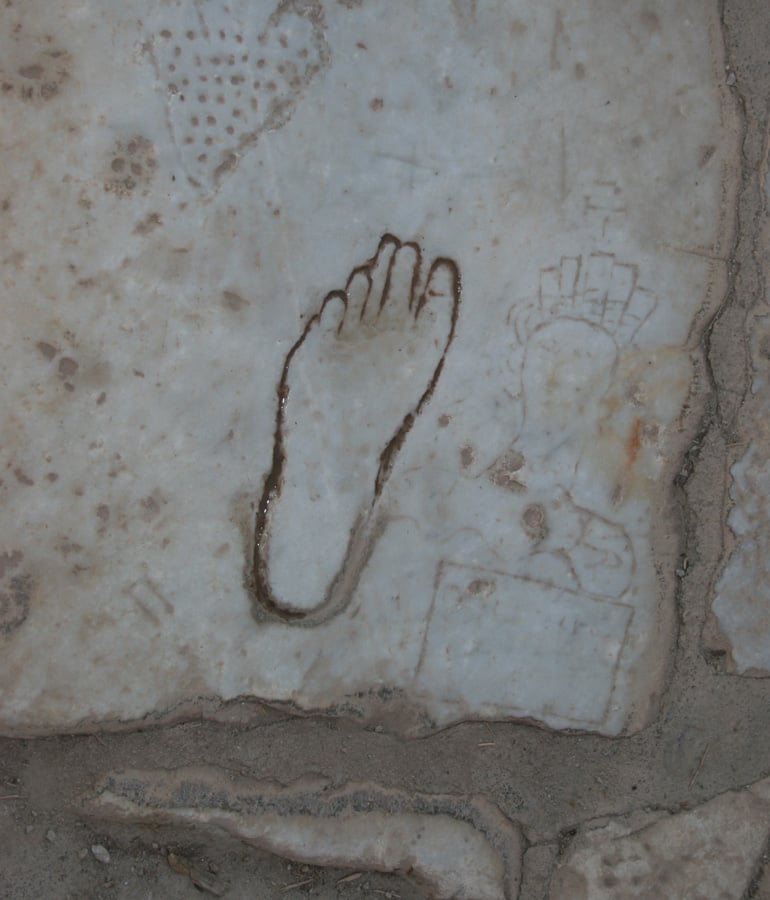 fig1365