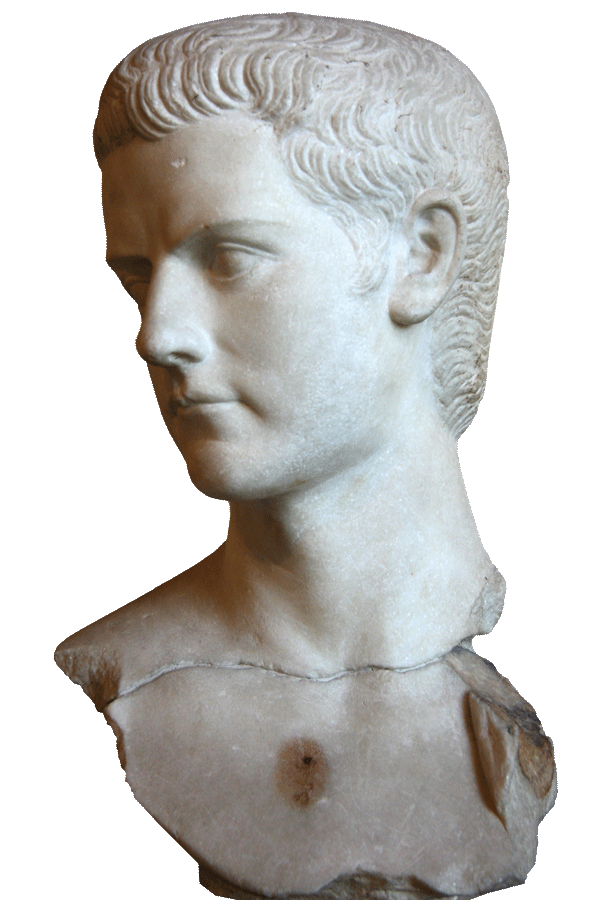 fig1446