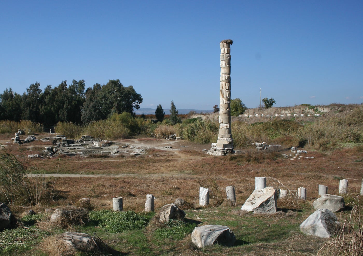 fig1463