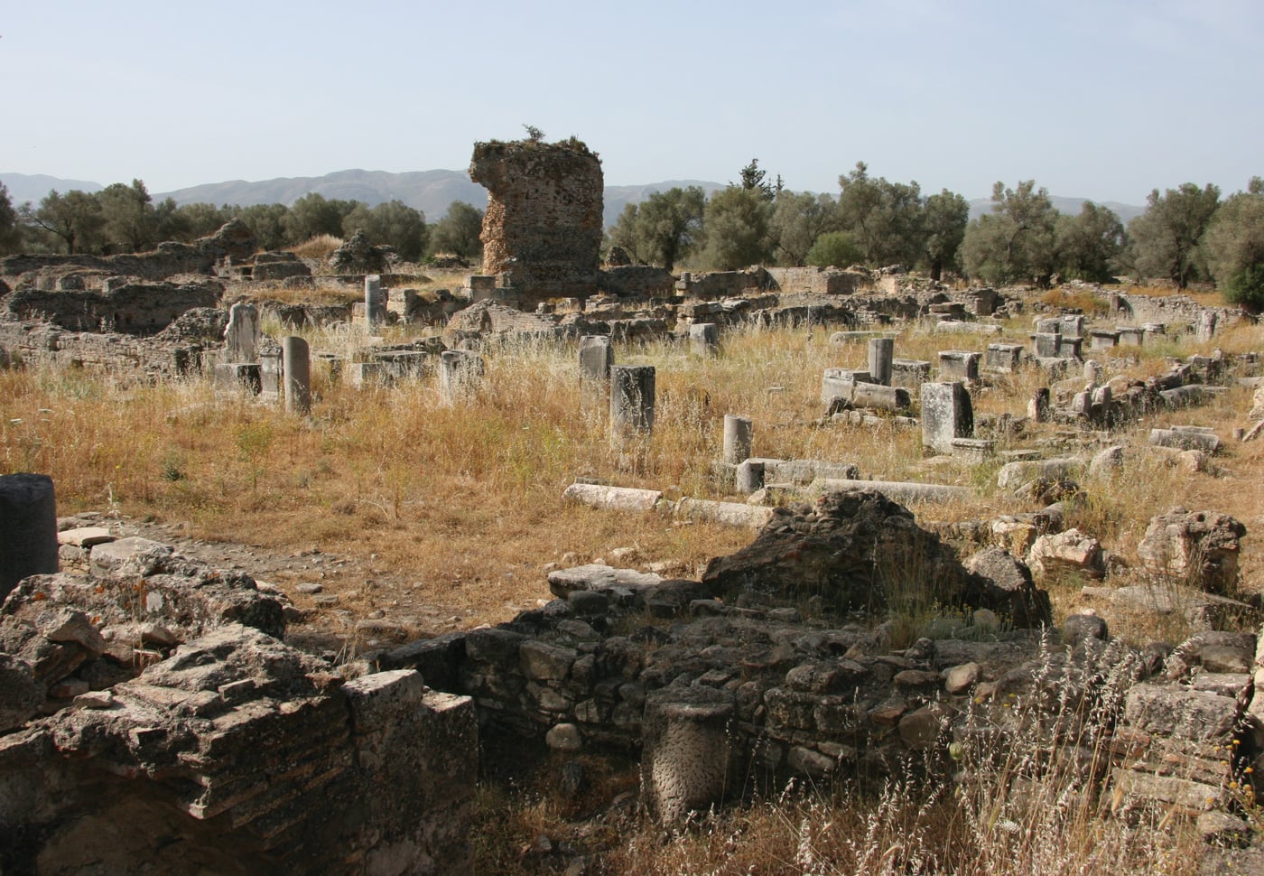 fig1480
